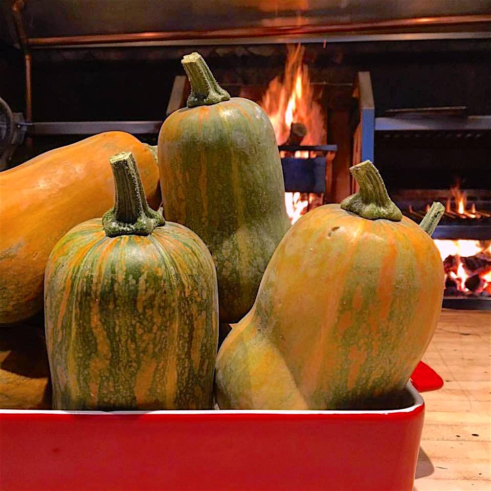 Farm to Table squash at Millers Guild